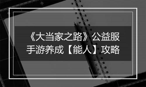 《大当家之路》公益服手游养成【能人】攻略