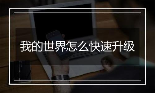 我的世界怎么快速升级