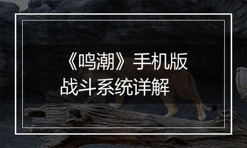《鸣潮》手机版战斗系统详解