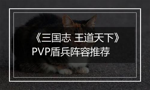 《三国志 王道天下》PVP盾兵阵容推荐