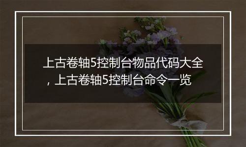 上古卷轴5控制台物品代码大全，上古卷轴5控制台命令一览