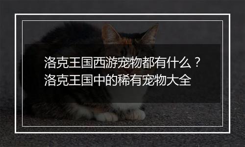 洛克王国西游宠物都有什么？洛克王国中的稀有宠物大全