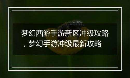 梦幻西游手游新区冲级攻略，梦幻手游冲级最新攻略