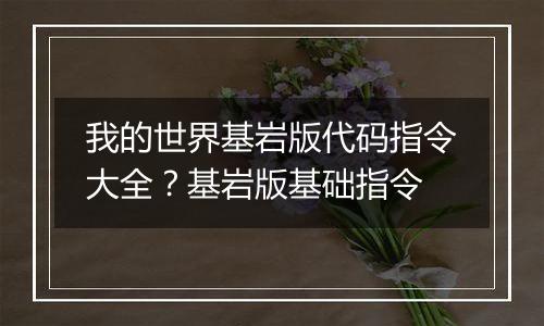 我的世界基岩版代码指令大全？基岩版基础指令