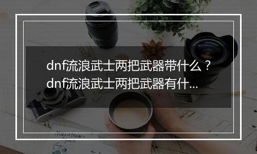 dnf流浪武士两把武器带什么？dnf流浪武士两把武器有什么用
