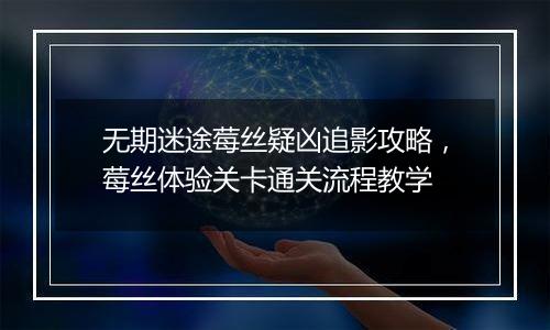 无期迷途莓丝疑凶追影攻略，莓丝体验关卡通关流程教学