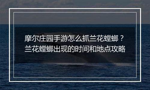 摩尔庄园手游怎么抓兰花螳螂？兰花螳螂出现的时间和地点攻略
