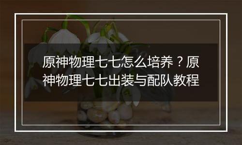 原神物理七七怎么培养？原神物理七七出装与配队教程
