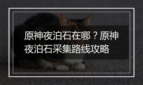 原神夜泊石在哪？原神夜泊石采集路线攻略