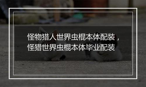 怪物猎人世界虫棍本体配装，怪猎世界虫棍本体毕业配装
