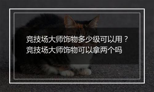 竞技场大师饰物多少级可以用？竞技场大师饰物可以拿两个吗