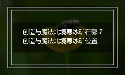 创造与魔法北境寒冰矿在哪？创造与魔法北境寒冰矿位置