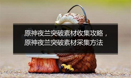 原神夜兰突破素材收集攻略，原神夜兰突破素材采集方法