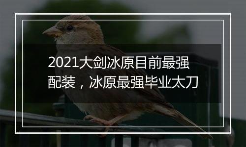 2021大剑冰原目前最强配装，冰原最强毕业太刀