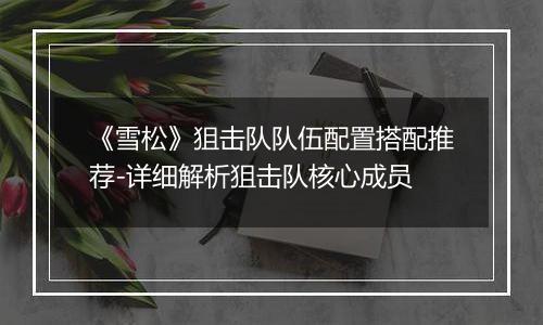 《雪松》狙击队队伍配置搭配推荐-详细解析狙击队核心成员