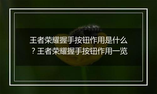 王者荣耀握手按钮作用是什么？王者荣耀握手按钮作用一览