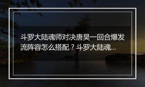 斗罗大陆魂师对决唐昊一回合爆发流阵容怎么搭配？斗罗大陆魂师对决唐昊一回合爆发流阵容介绍