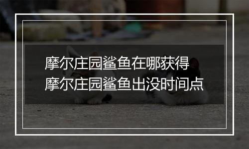 摩尔庄园鲨鱼在哪获得 摩尔庄园鲨鱼出没时间点