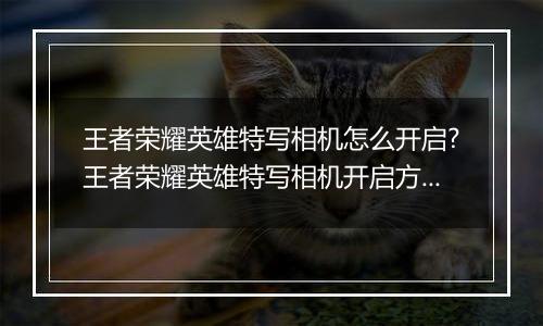 王者荣耀英雄特写相机怎么开启?王者荣耀英雄特写相机开启方法