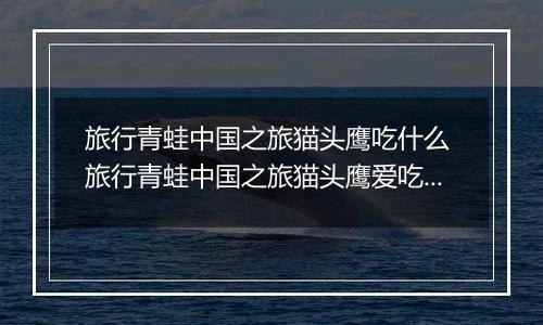 旅行青蛙中国之旅猫头鹰吃什么 旅行青蛙中国之旅猫头鹰爱吃食物一览