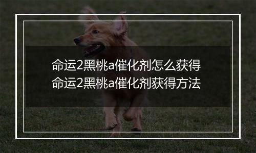命运2黑桃a催化剂怎么获得 命运2黑桃a催化剂获得方法