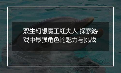 双生幻想魔王红夫人 探索游戏中最强角色的魅力与挑战