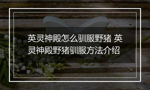 英灵神殿怎么驯服野猪 英灵神殿野猪驯服方法介绍