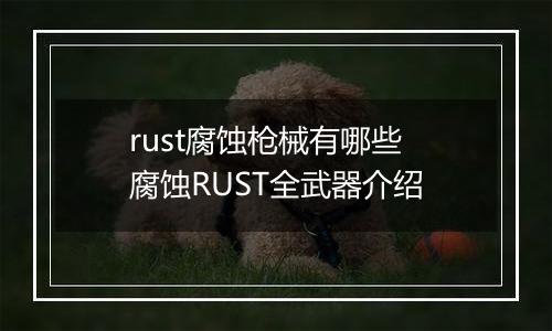 rust腐蚀枪械有哪些 腐蚀RUST全武器介绍