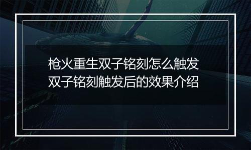 枪火重生双子铭刻怎么触发 双子铭刻触发后的效果介绍