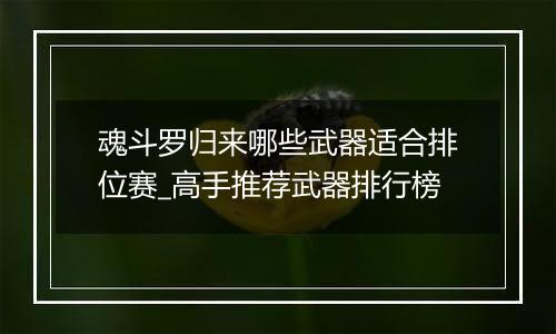 魂斗罗归来哪些武器适合排位赛_高手推荐武器排行榜