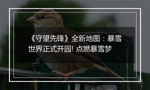 《守望先锋》全新地图：暴雪世界正式开园! 点燃暴雪梦