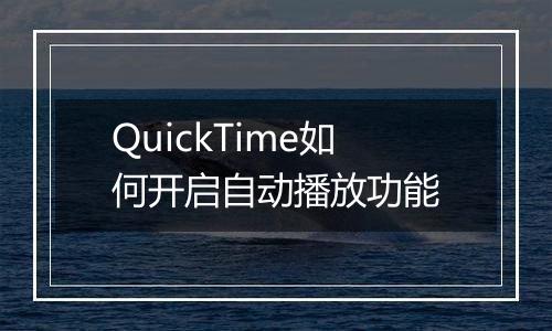 QuickTime如何开启自动播放功能