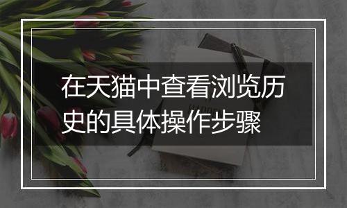 在天猫中查看浏览历史的具体操作步骤
