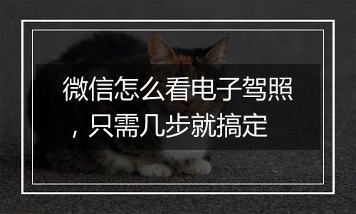 微信怎么看电子驾照，只需几步就搞定