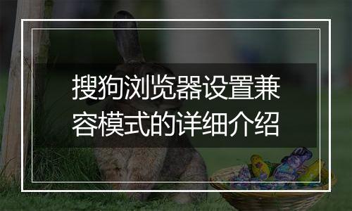 搜狗浏览器设置兼容模式的详细介绍