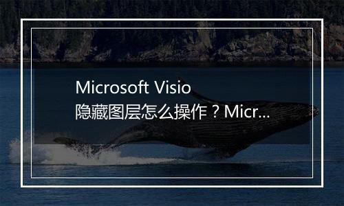 Microsoft Visio隐藏图层怎么操作？Microsoft Visio隐藏图层具体教程