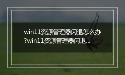 win11资源管理器闪退怎么办?win11资源管理器闪退解决方法