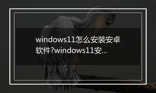windows11怎么安装安卓软件?windows11安装安卓软件方法