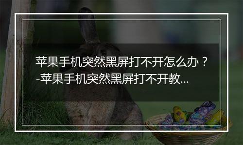 苹果手机突然黑屏打不开怎么办？-苹果手机突然黑屏打不开教程