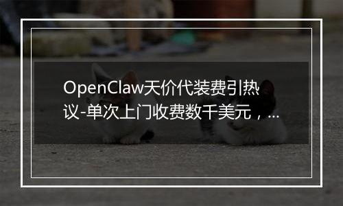 OpenClaw天价代装费引热议-单次上门收费数千美元，有人年入百万