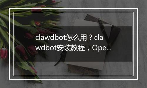 clawdbot怎么用？clawdbot安装教程，OpenClaw国内版本Molili上线
