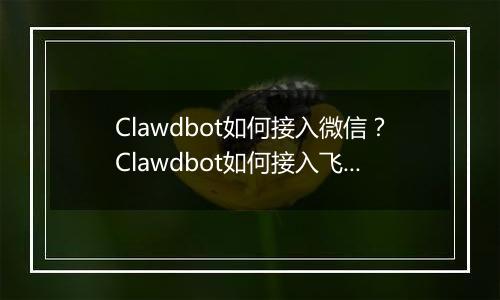 Clawdbot如何接入微信？Clawdbot如何接入飞书