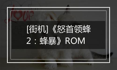[街机]《怒首领蜂2：蜂暴》ROM