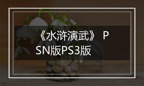 《水浒演武》 PSN版PS3版