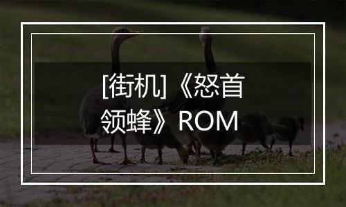 [街机]《怒首领蜂》ROM