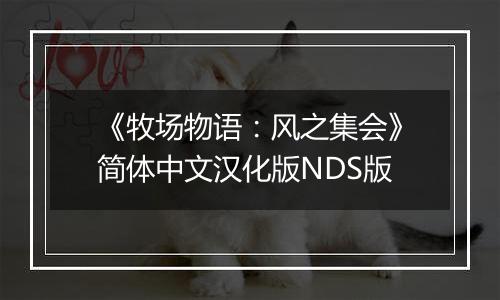 《牧场物语：风之集会》简体中文汉化版NDS版