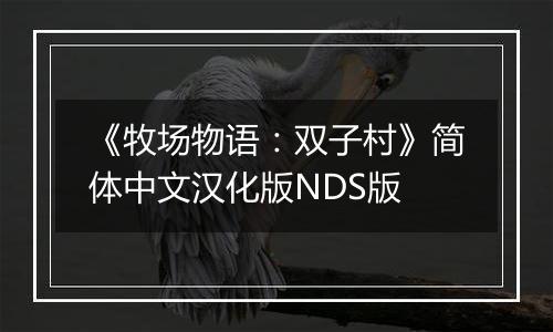 《牧场物语：双子村》简体中文汉化版NDS版