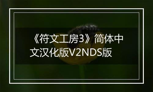 《符文工房3》简体中文汉化版V2NDS版