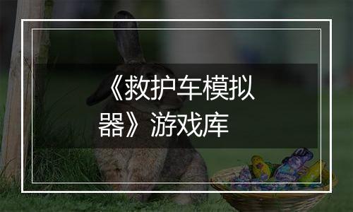 《救护车模拟器》游戏库