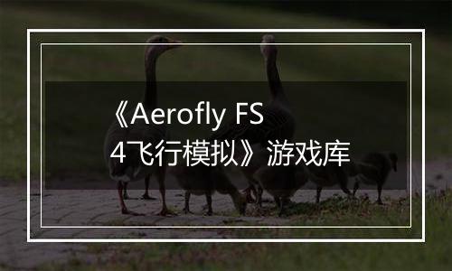 《Aerofly FS 4飞行模拟》游戏库